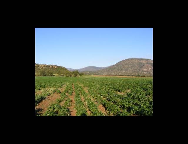 200HA FARM FOR SALE IN MUDEN